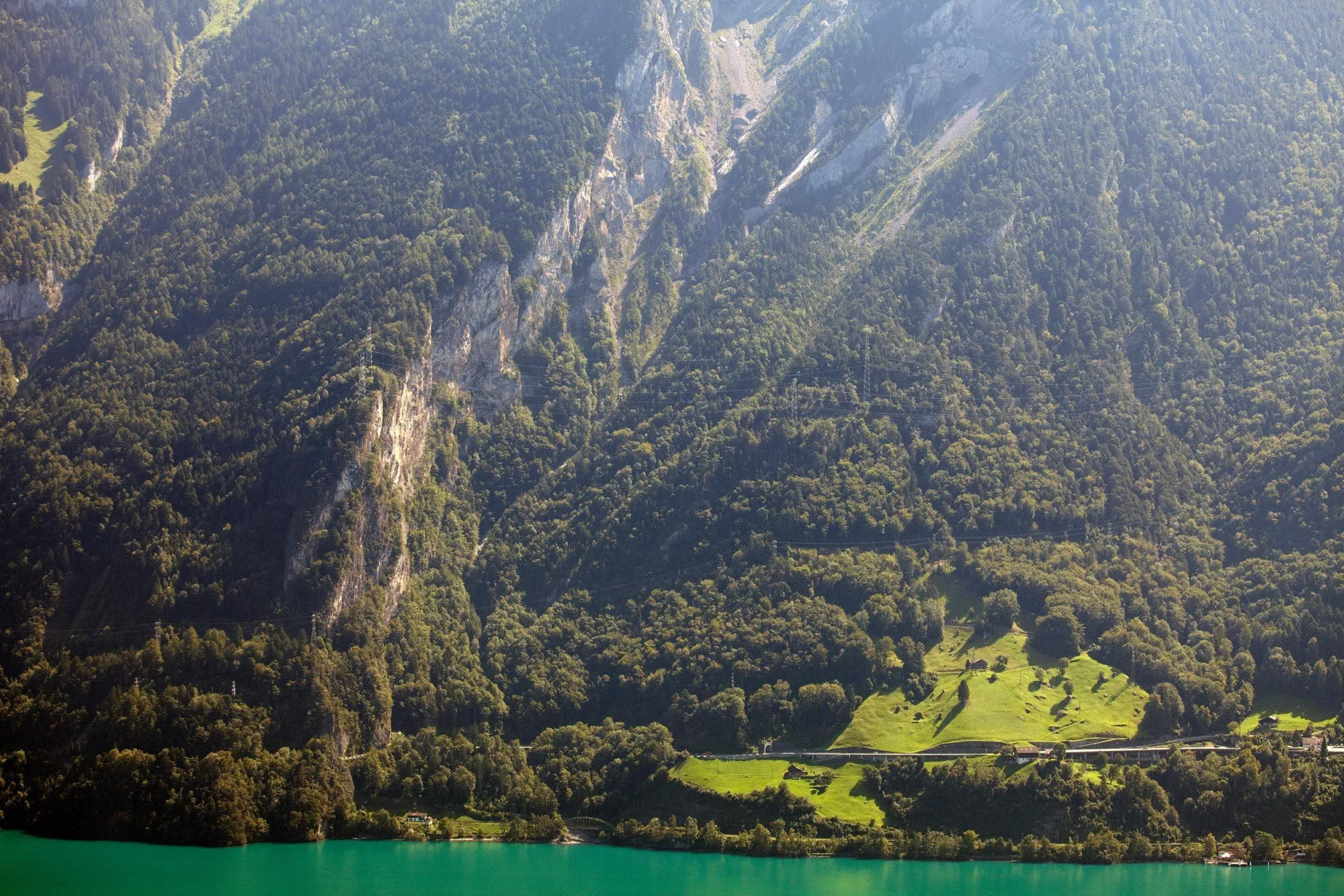 Background 1